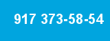 917 373-58-54